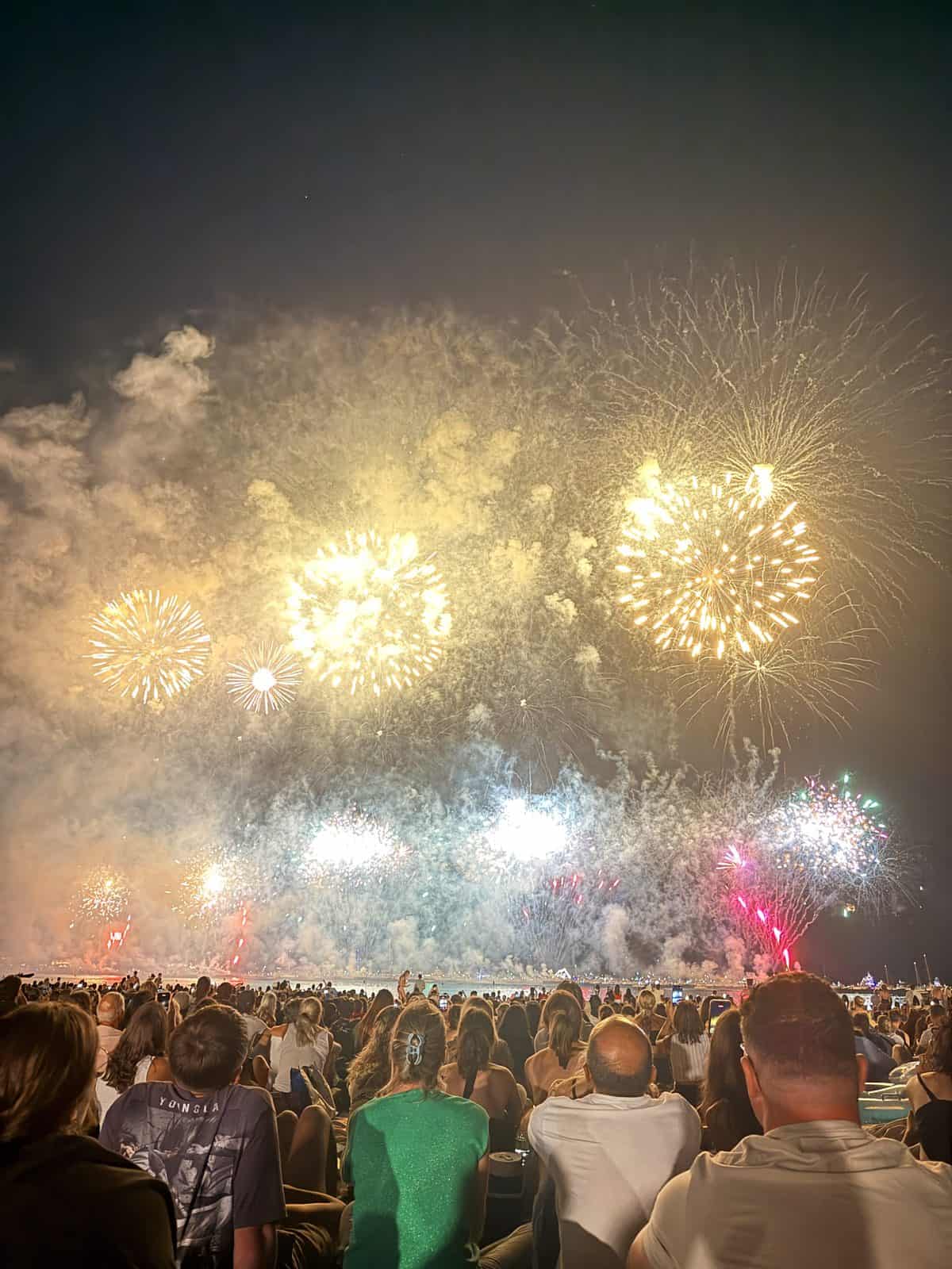The fireworks over the bay